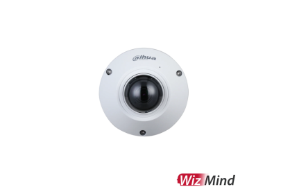 Dahua DH-IPC-EB5541P-AS 5MP FISHEYE CAMERA