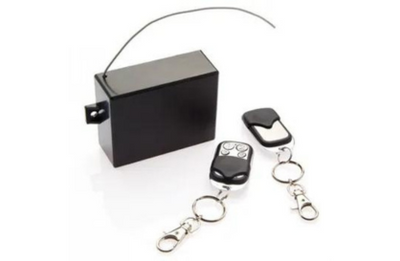 BOSCH, Standalone Wireless Receiver, 4 Channel, Includes 2x HCT4 4 Button Key Fob…